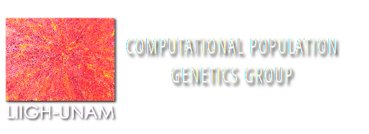 Computational Population Genetics