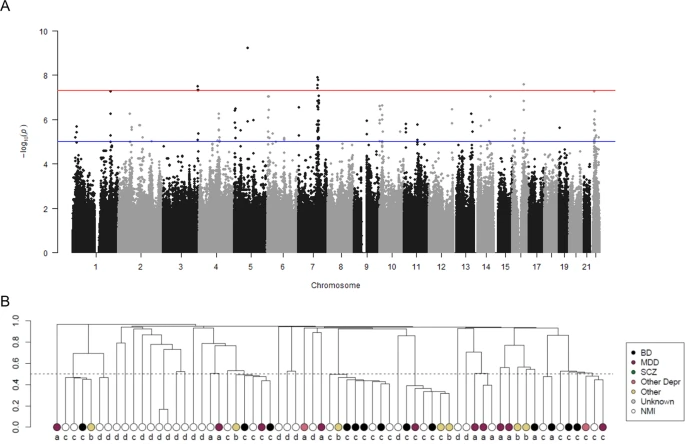 Genome-wide significant risk loci for mood disorders in the Old Order Amish founder population