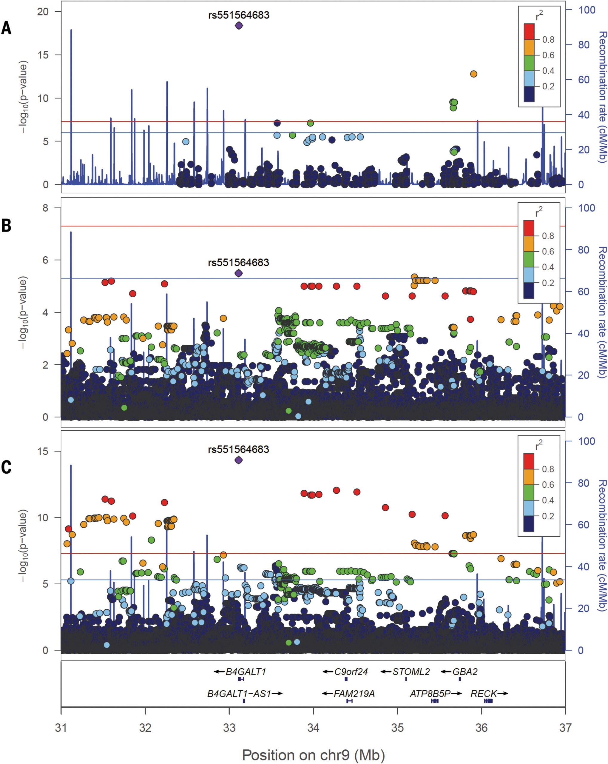 Missense Variant associated with lower LDL and Fibrinogen in Old Order Amish