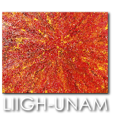 LIIGH - International Laboratory for Human Genome Research
